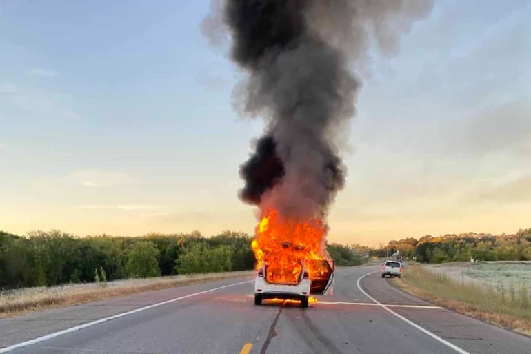 Deer car flames
