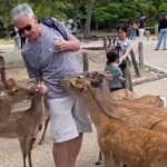Deer bite