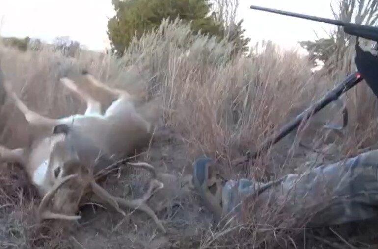 Deer falls at hunter's feet