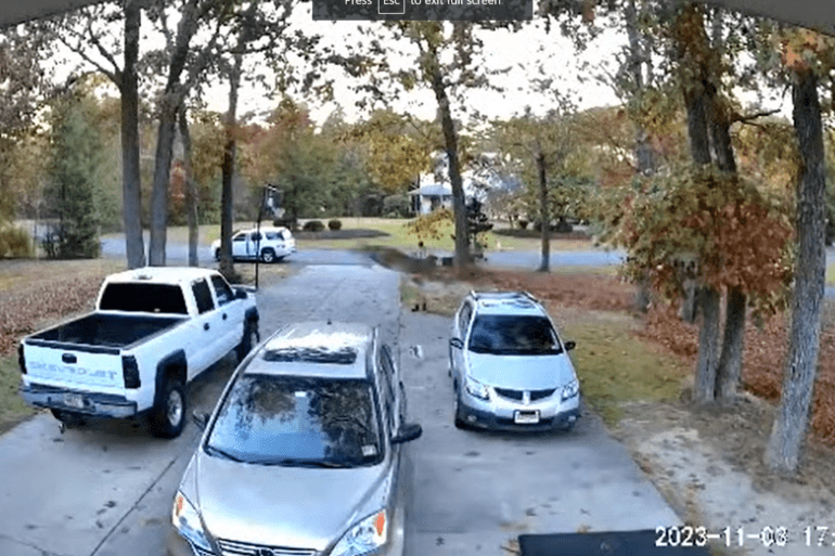 Deer hits truck in New Jersey