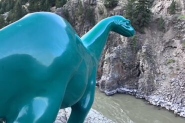 Dino