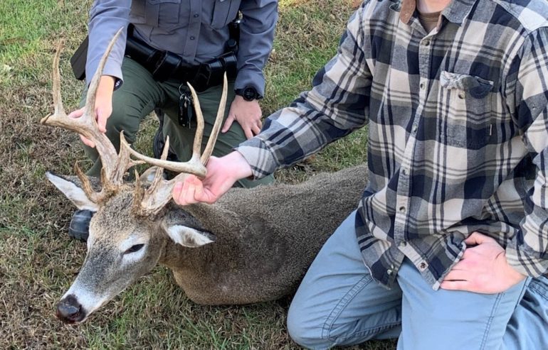 A person petting a deer