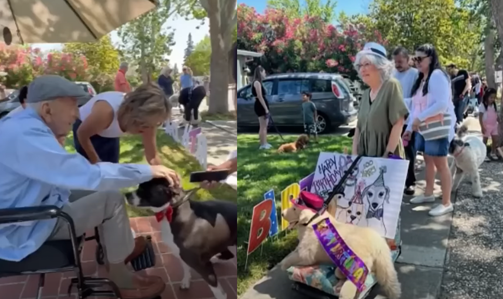 California Man Celebrates 100th Birthday With Incredible Parade Of Over ...