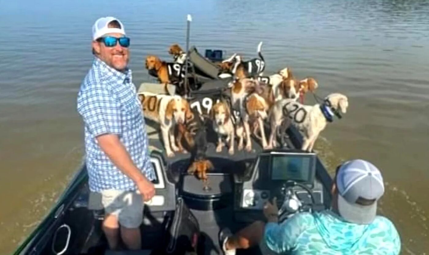 Heroic Fishermen Rescue 38 Lost Dogs Who Were Treading Water In ...