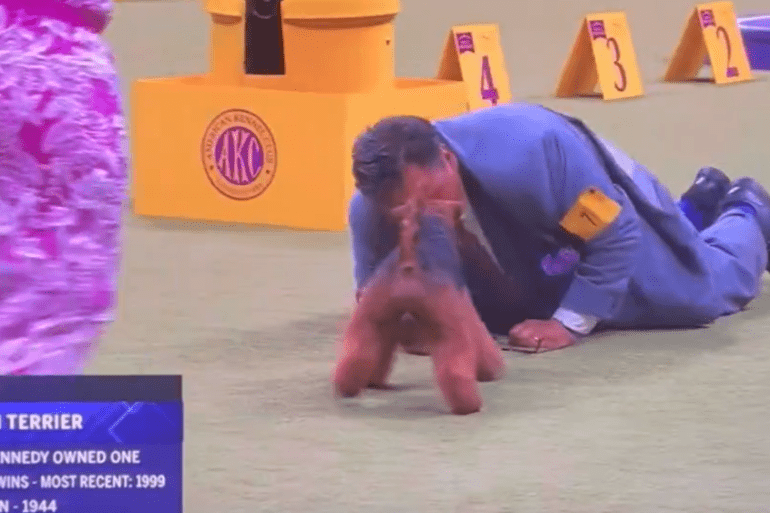Westminster Dog Show