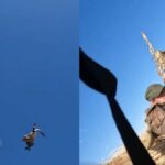 Downed Goose