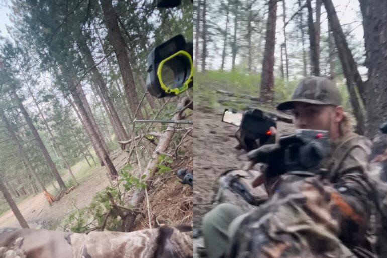 Hunting