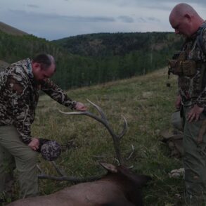 Elk Luke Combs
