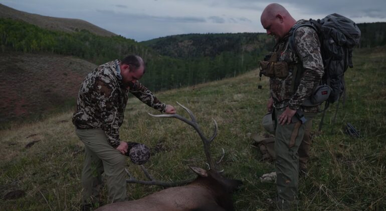 Elk Luke Combs