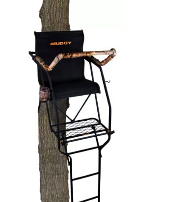 A black and gold guitar leaning against a tree