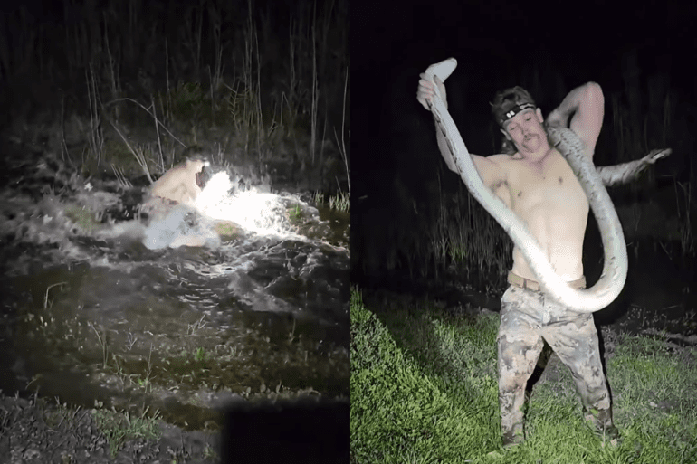 Florida Man wrestles python