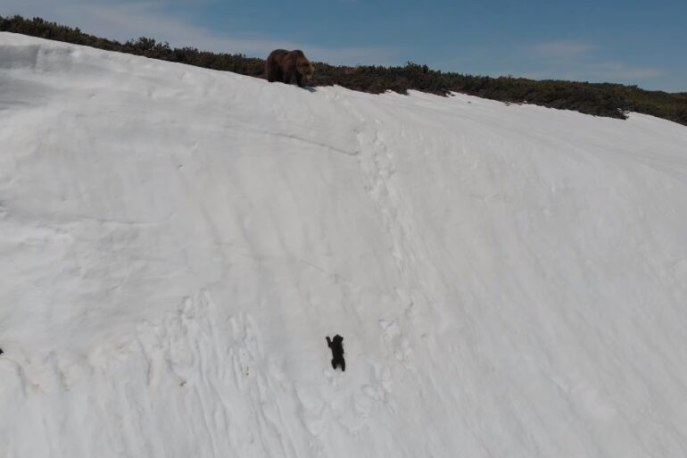 A person walking on a snow covered hill
