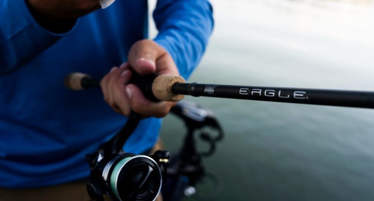 Fenwick Eagle
