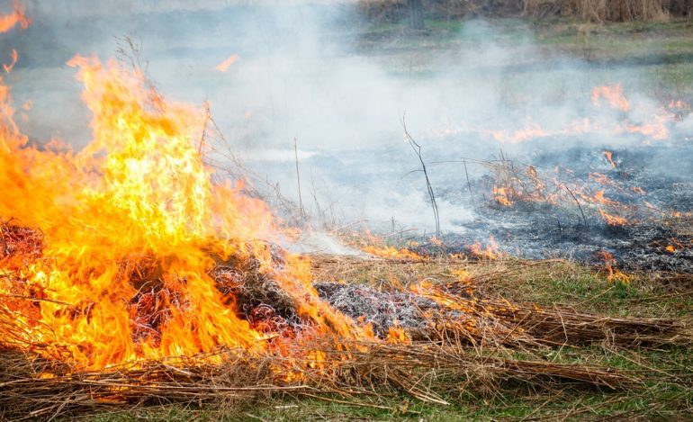 A fire burning in a field