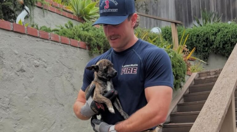 Laguna Beach Fire Dept