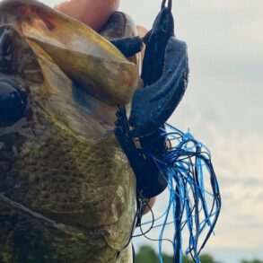 Bass jig