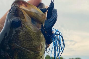 Bass jig