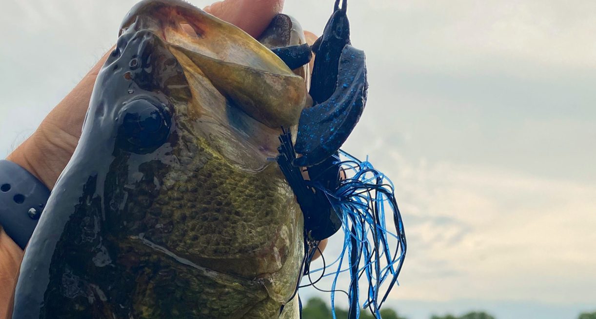 5 Must-Have Bass Baits Heading Into The Fall 2026