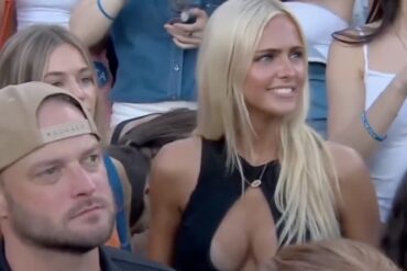 Florida fan
