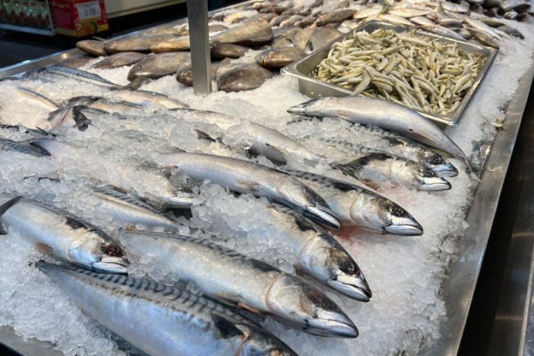 Herring