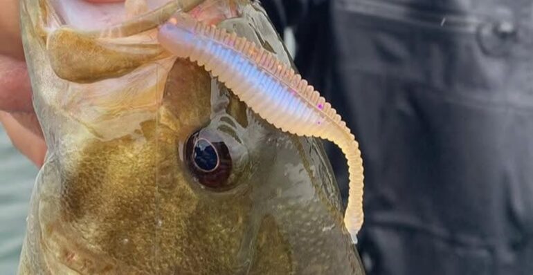 Great Lakes FInesse worm