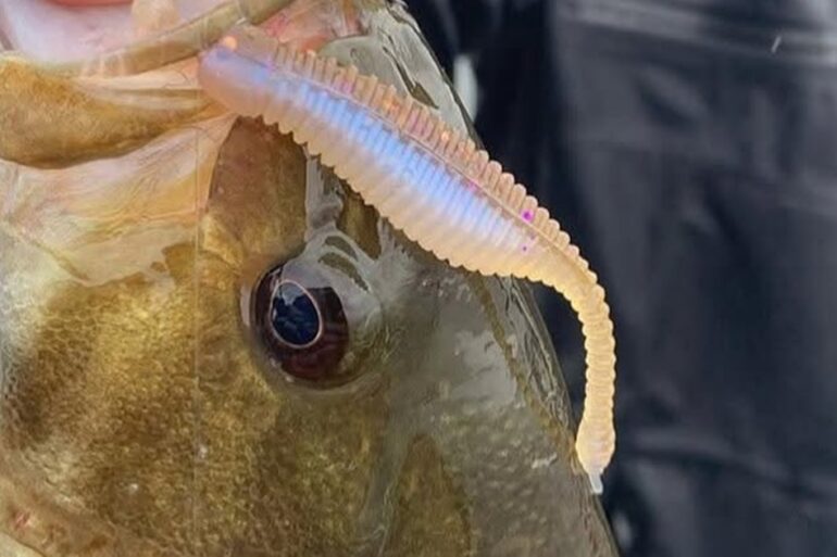 Great Lakes FInesse worm
