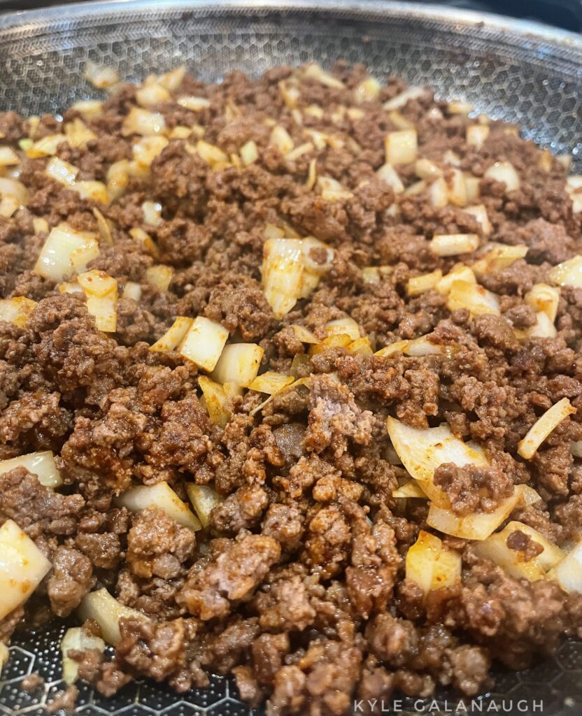 Venison bean dip