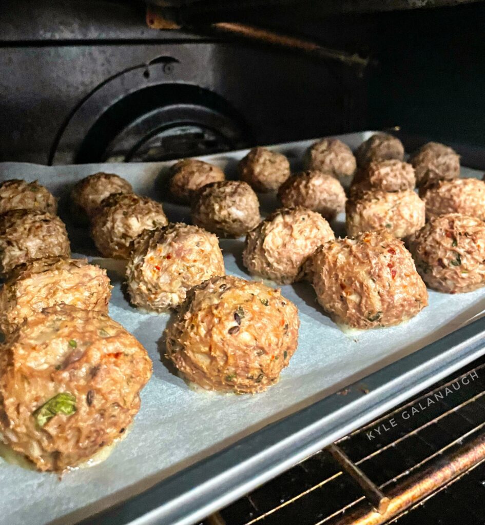 Venison Meatball