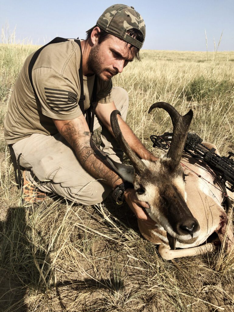 Antelope
