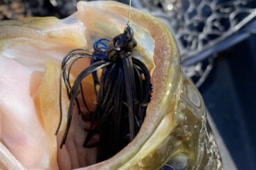 Swim Jig bass