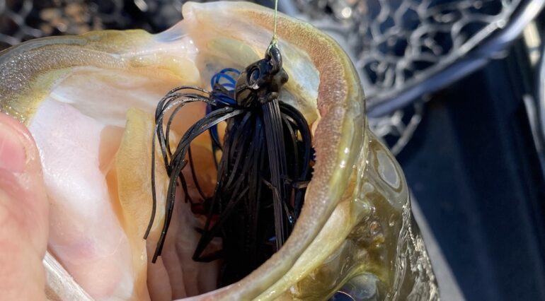Swim Jig bass