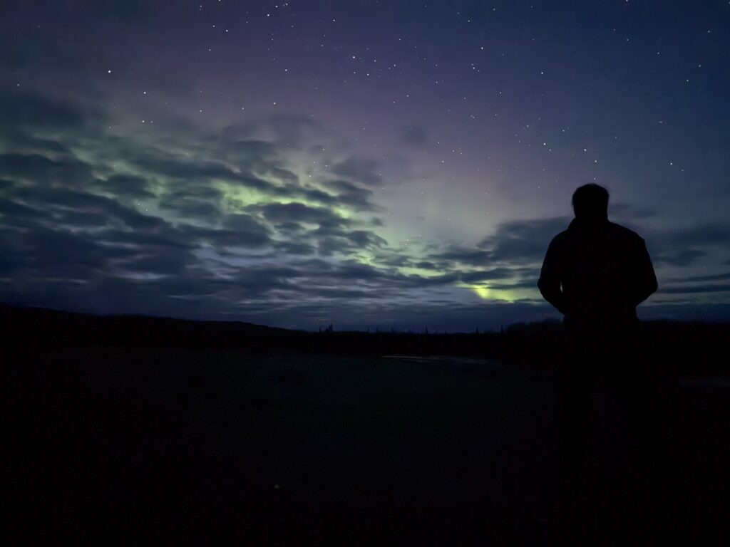 Moose Alaska