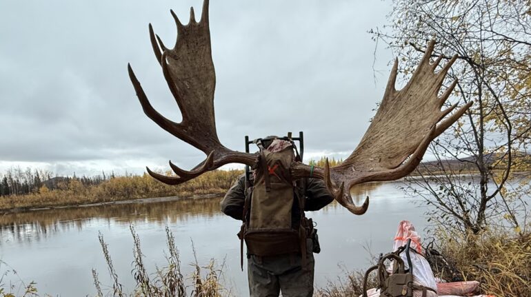 Moose Hunt