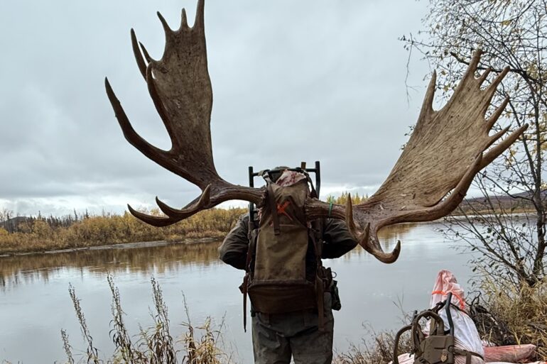 Moose Hunt