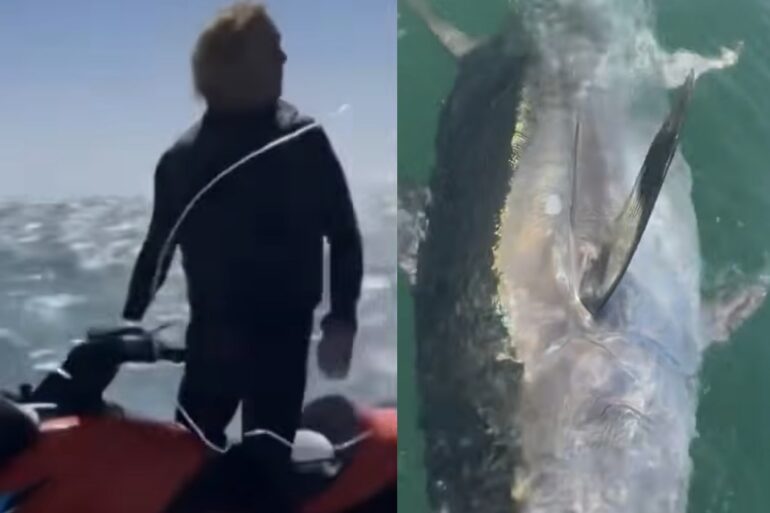 Jet ski tuna
