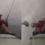 Great White shark rams kayak