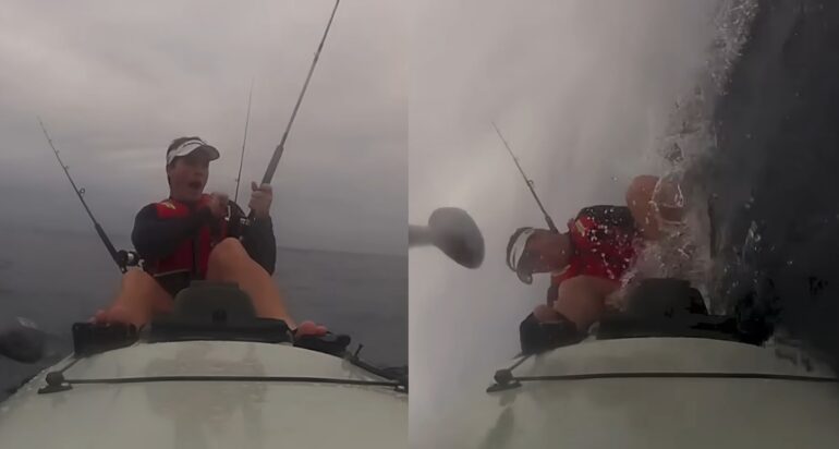 Great White shark rams kayak