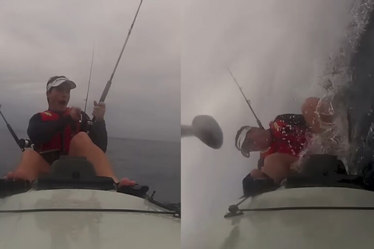 Great White shark rams kayak