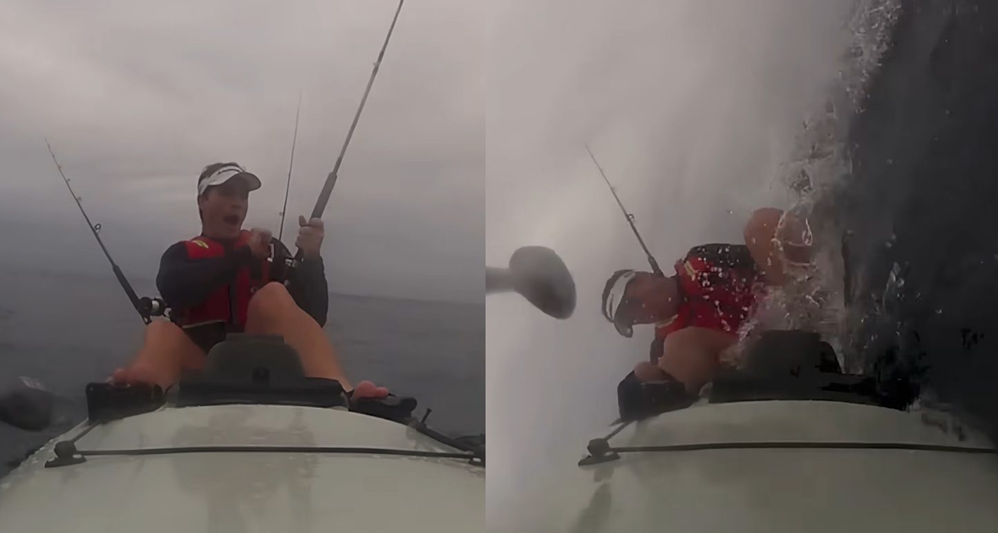 Watch a Great White Shark Torpedo a Kayak and Send the Fisherman Flying Into the Ocean