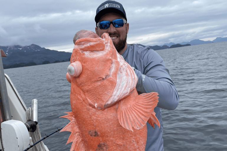 fish