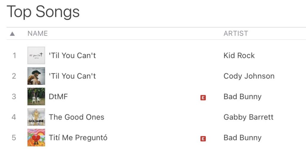 Kid Rock iTunes