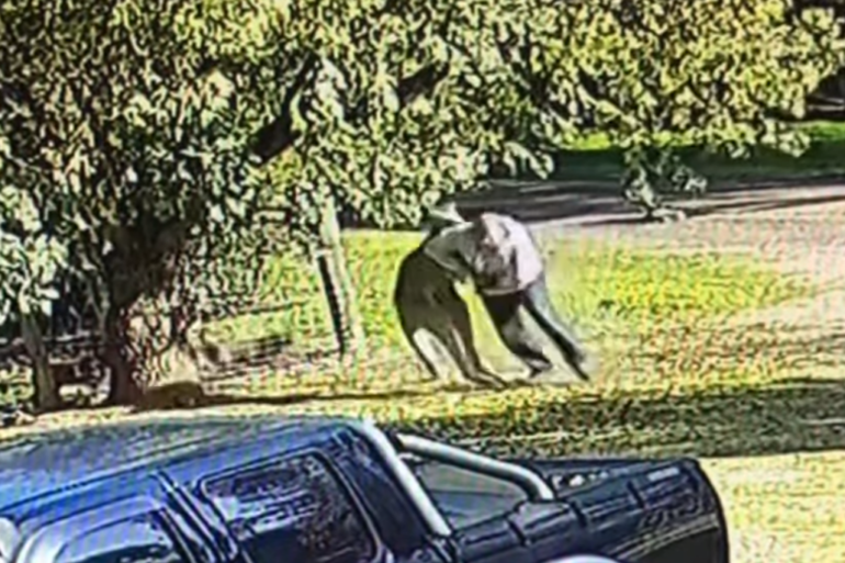 Man fights kangaroo