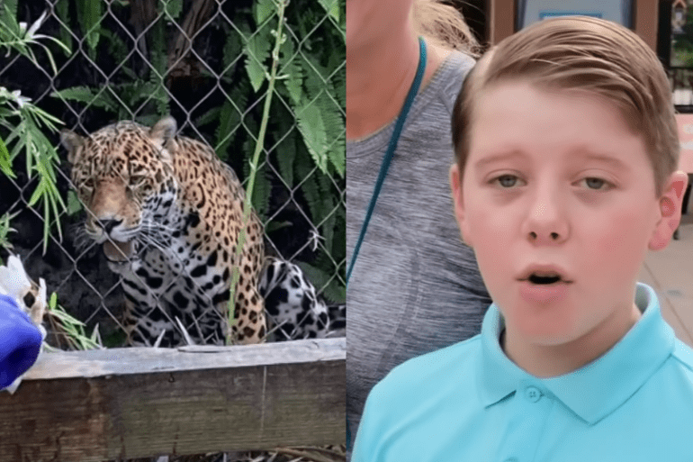 A boy and a baby looking at a leopard