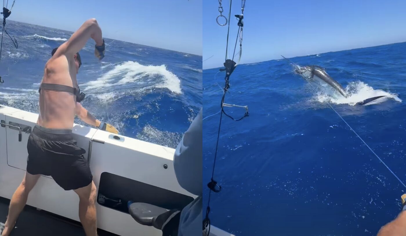 WATCH: Deep Sea Fishermen Go To War With Blue Marlin In Rough Waters