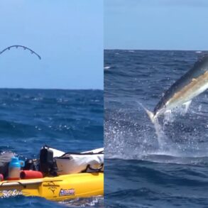 Kayak angler marlin