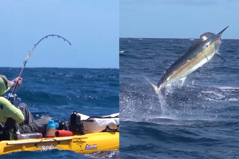 Kayak angler marlin
