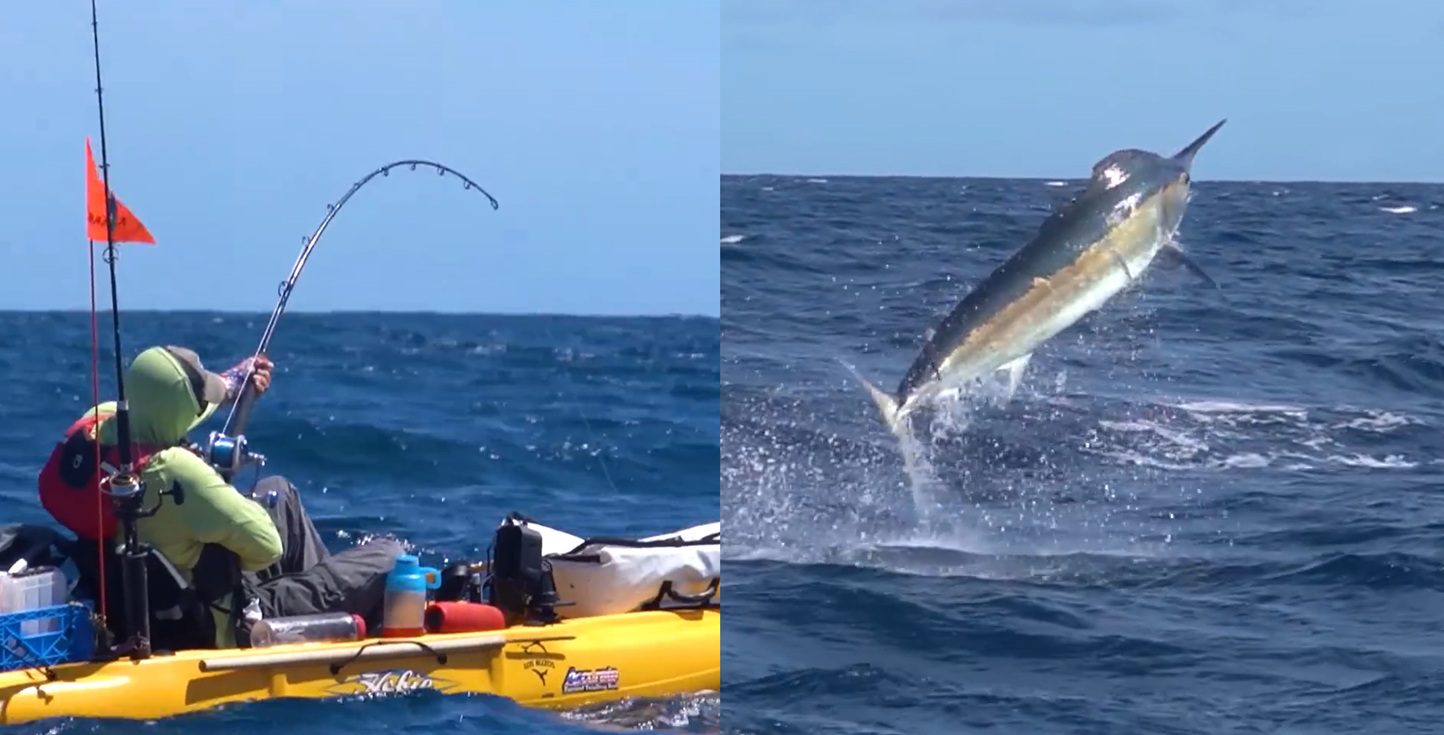 500-Pound Marlin Drags Kayak Angler 15 Miles During 6-Hour Fight Of A Lifetime