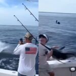 Marlin fishing