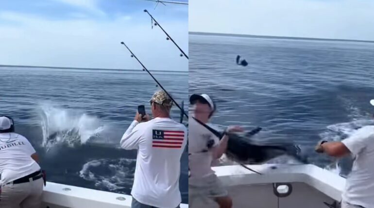 Marlin fishing