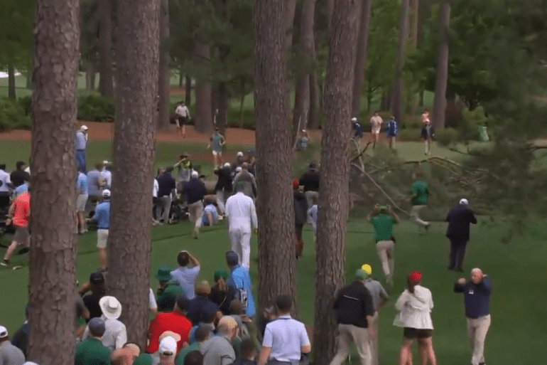 masters tree
